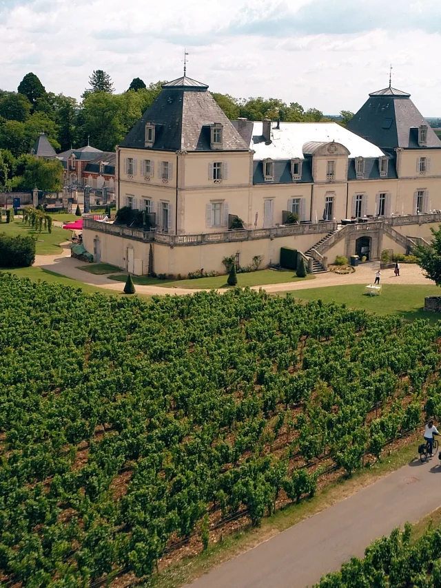 Cueillette Meursault