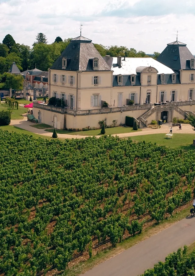 Cueillette Meursault