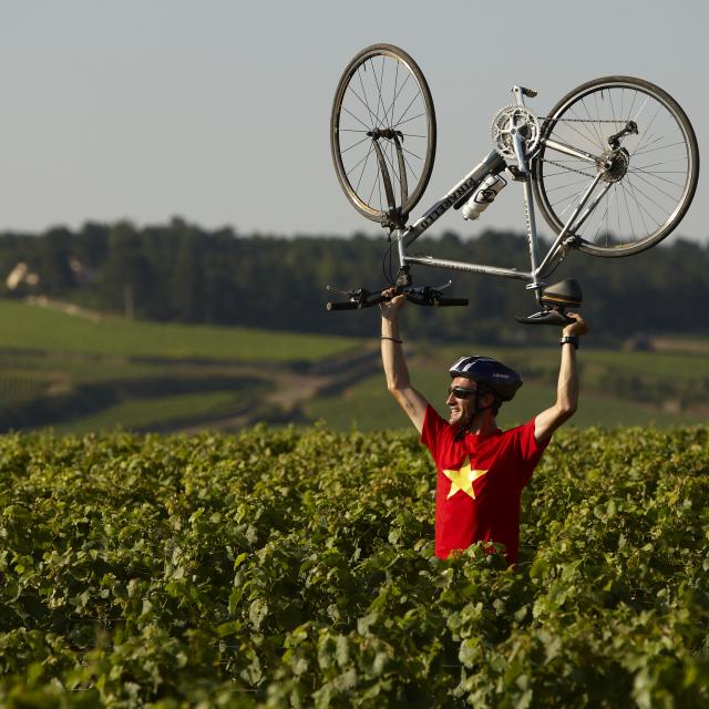 Cycliste Velo Vignes Bourgogne