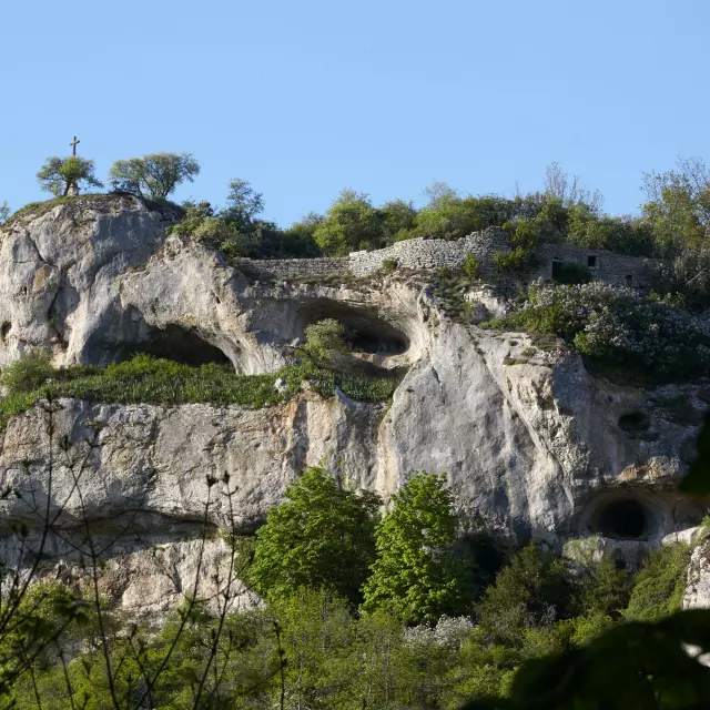 Falaise Orches