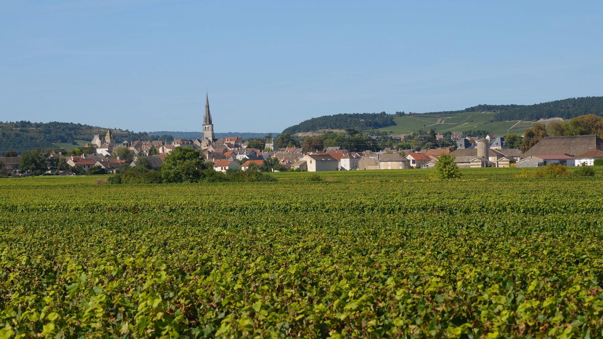 Shopping | Beaune and the Beaune region Tourism – Burgundy