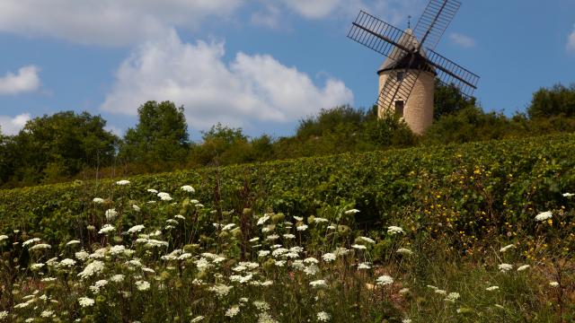 Moulin Ete Santenay