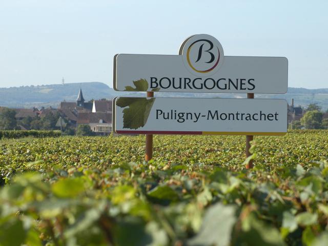 Cartel de Puligny Montrachet