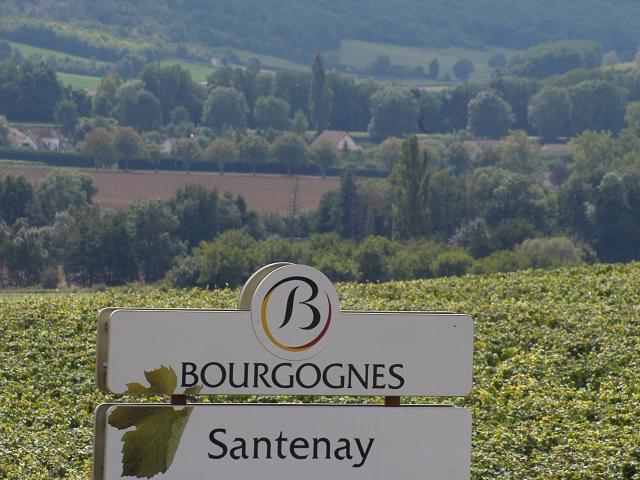 Panneau Santenay