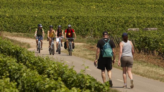 Hiking and biking Circuit Voie Des Vignes Burgundy