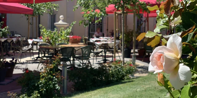 Terrasse Cueillette