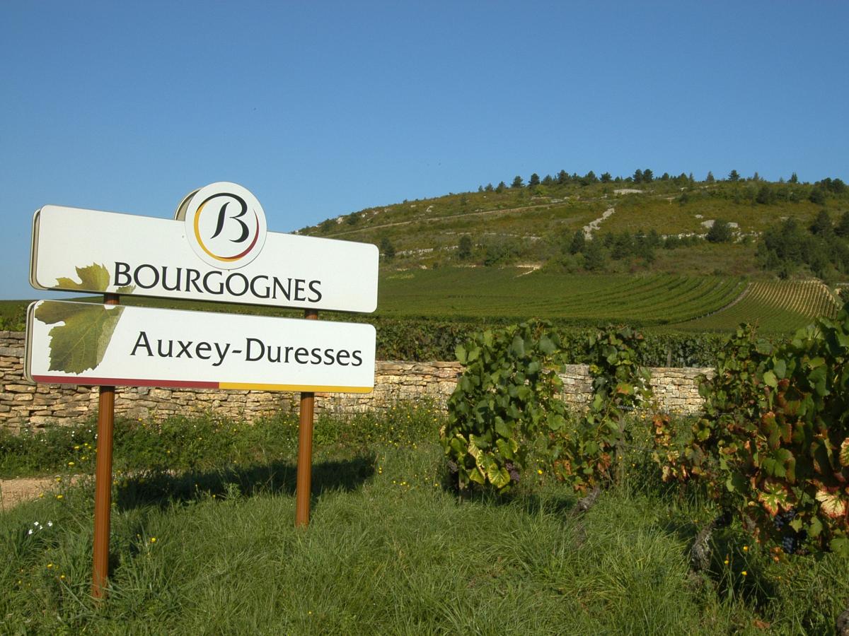 6 Grands événements Pour Déguster Le Vin De Bourgogne | Beaune Et Le ...