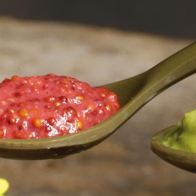 moutarde-fallot-degustation-moutarde-1920x640-crop-1677242112