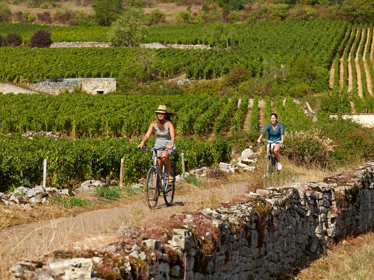 Top 5 Des Activités Insolites Autour De Beaune | Beaune Et Le Pays ...