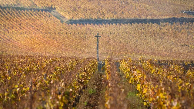 Paysage dans le vignoble de la Côte de Nuits : Romanée-Conti en automne