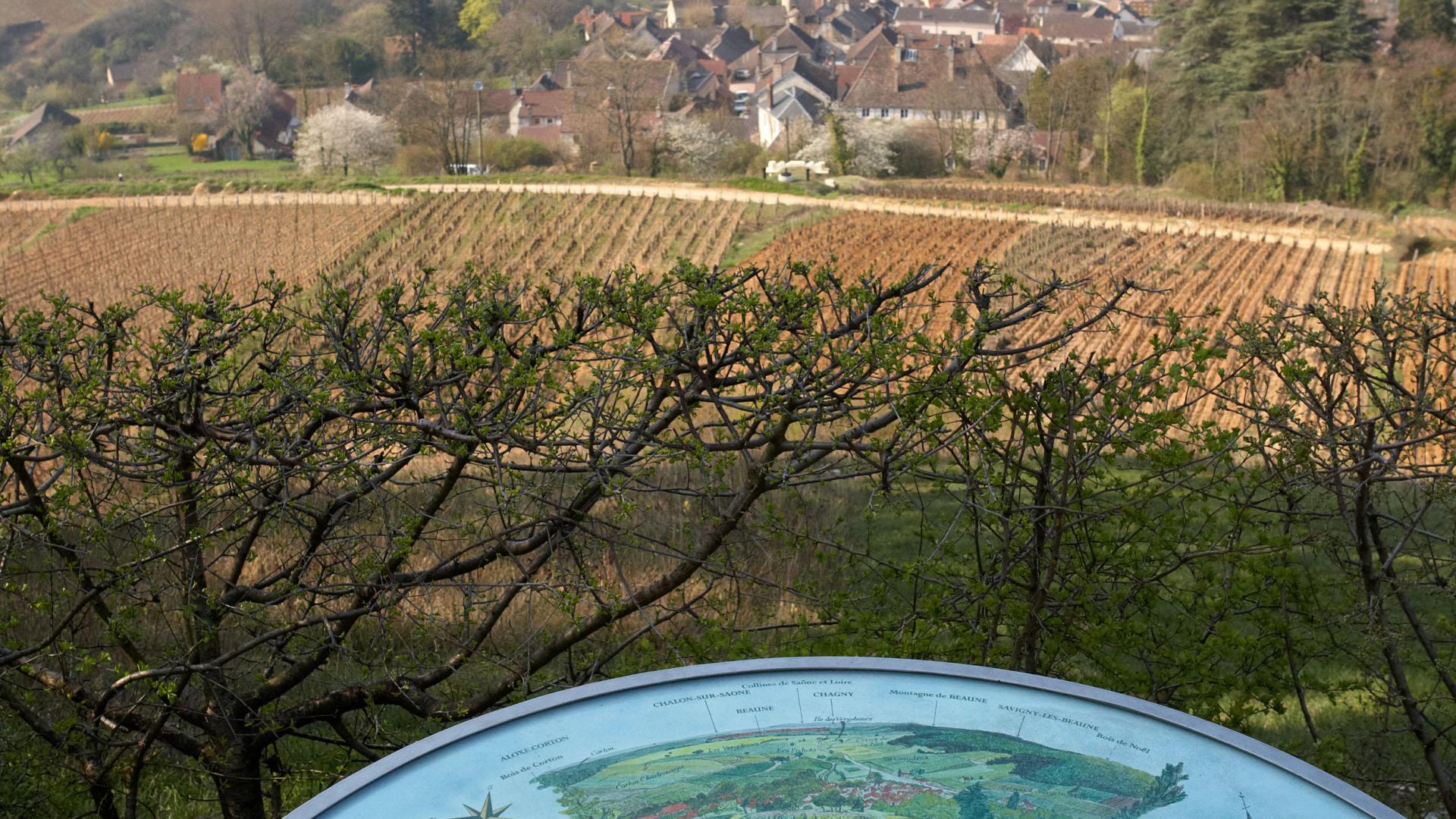 pernand-vergelesses-beaune-and-the-beaune-region-tourism-burgundy