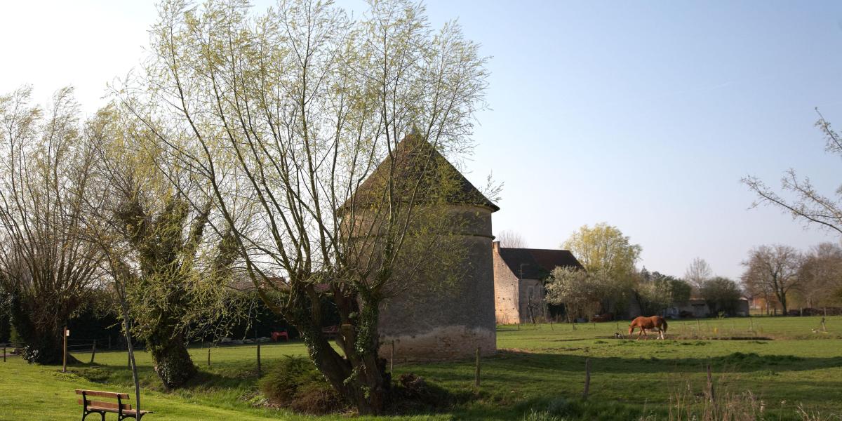 VIGNOLES Beaune und das Pays Beaunois Tourismus Burgund