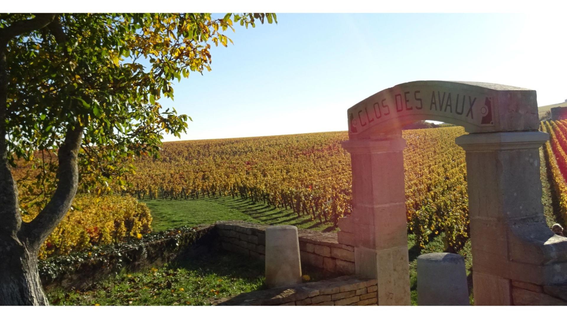 Gruppen | Beaune Und Das Pays Beaunois Tourismus – Burgund