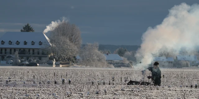 Brasero dans les vignes en hiver