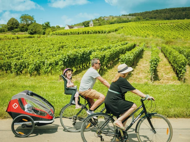 Vignobles Vélo Voie des vignes en famille