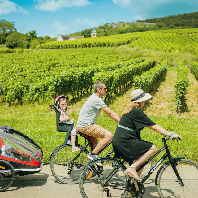 Vignobles Vélo Voie des vignes en famille