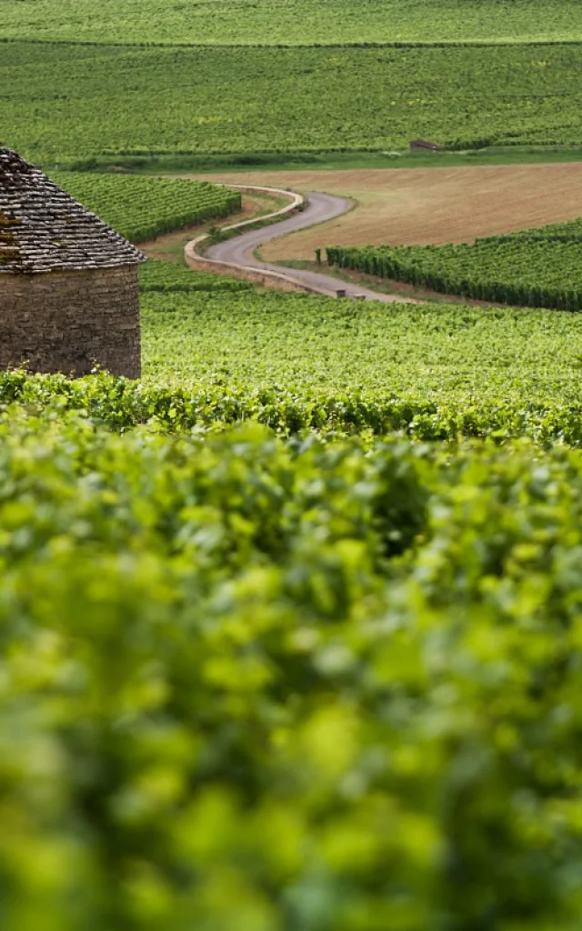 Otbeaune 005787 Bd 1