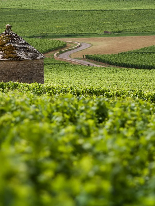 Otbeaune 005787 Bd 1