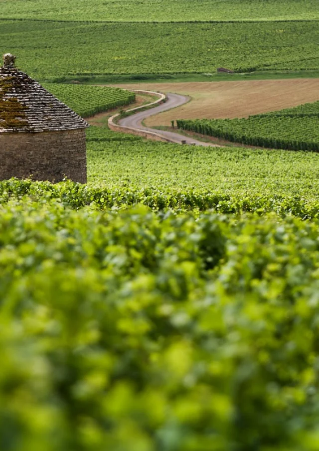 Otbeaune 005787 Bd 1