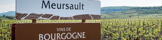 Panneau des vins de Bourgogne - Meursault