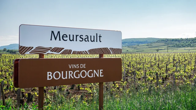 Panneau des vins de Bourgogne - Meursault