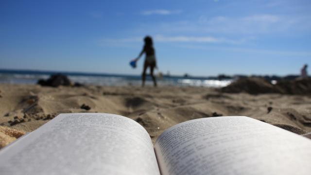 Que lire avant le voyage ? Tout pour s'immerger à Belle-île, la plus grand des îles de Bretagne, Bretagne Sud