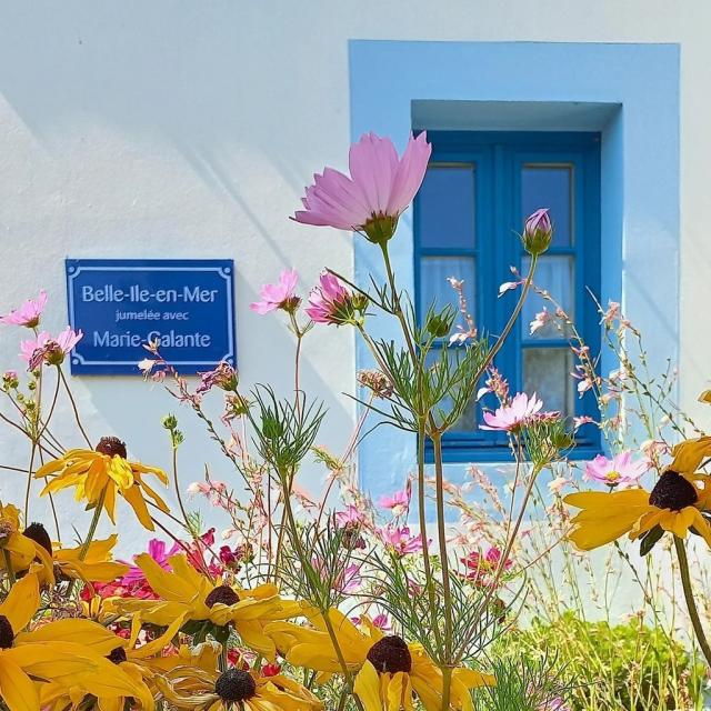 Instagram #belleileenmer