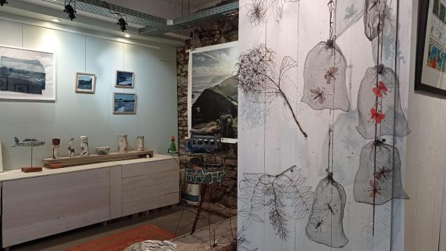 Exposition Atelier Des Curiosités 1 ©walter Jagueneau