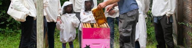 Visite Le Rucher De L'abeille Noire ©bellimages Fabien Giordano