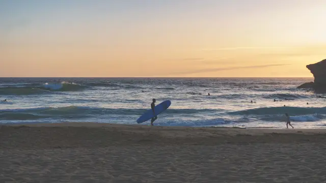 Surfeur A Donnant Maud Leblanc 2024 2029