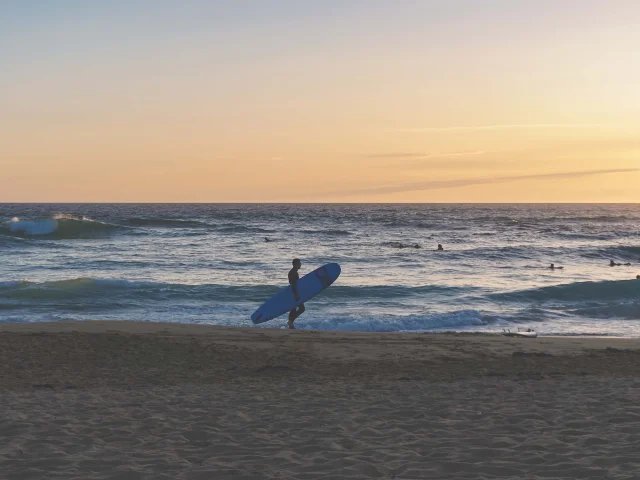 Surfeur A Donnant Maud Leblanc 2024 2029