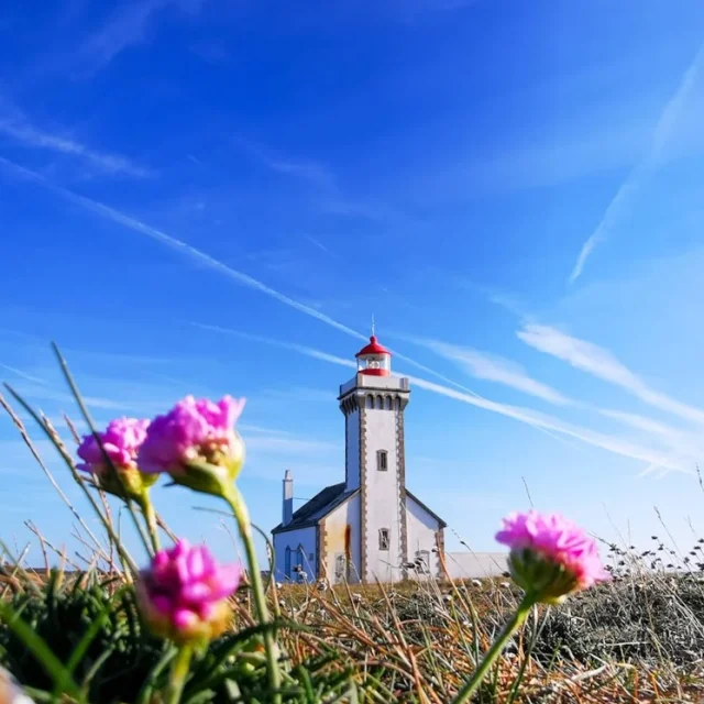 Instagram #belleileenmer