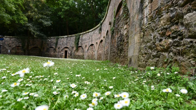 enceinte urbaine le Palais