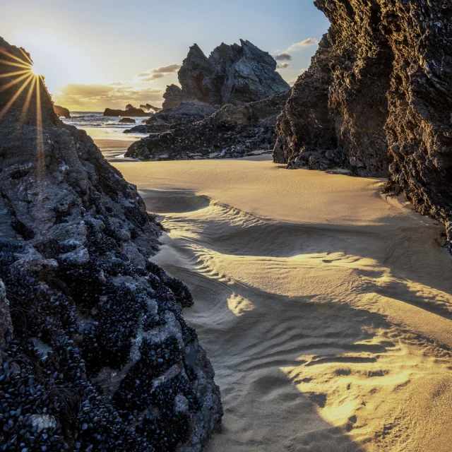 Instagram #otbelleile