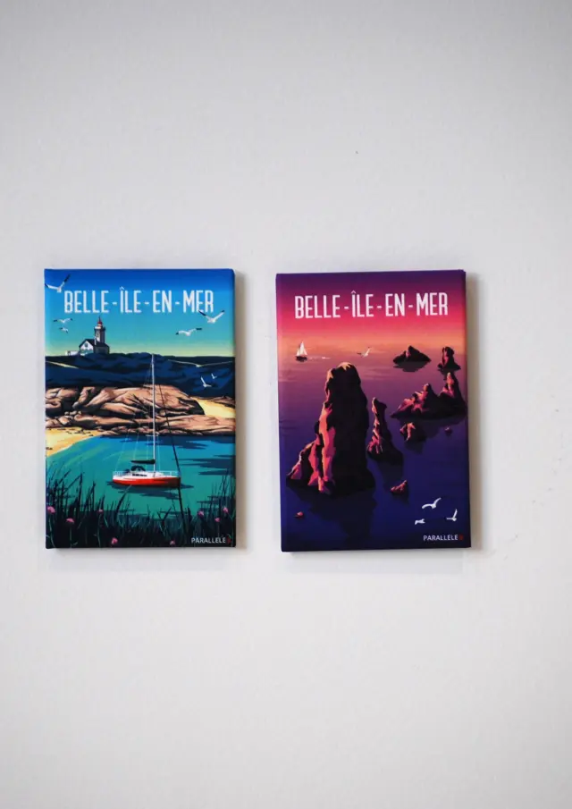 Collection de magnets rectangles