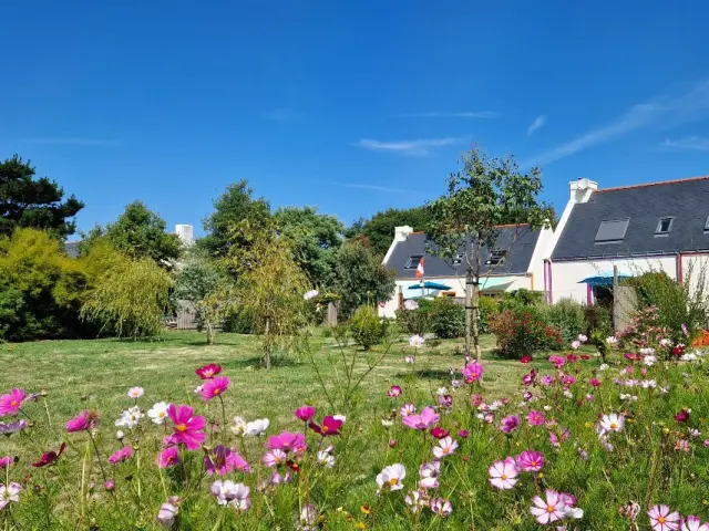 Pour La Carte Dans Le Guide