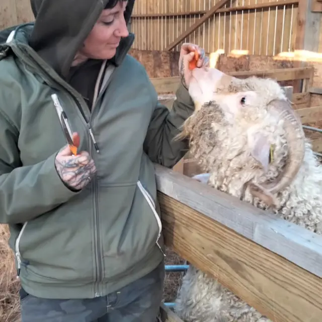 Instagram #belleileenmer