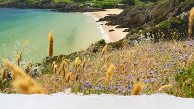 Mise En Page Strategie 2025 2027