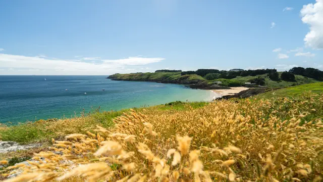 Port Andro Fleuri Thibault Poriel 2025 2030 1