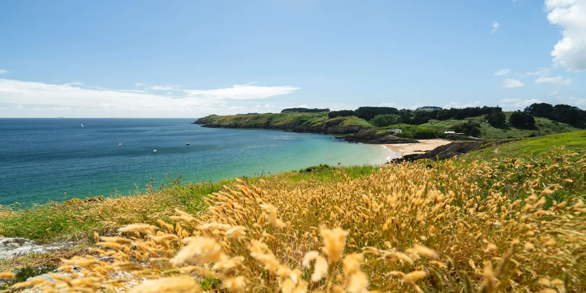 Port Andro Fleuri Thibault Poriel 2025 2030 1