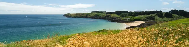 Port Andro Fleuri Thibault Poriel 2025 2030 1