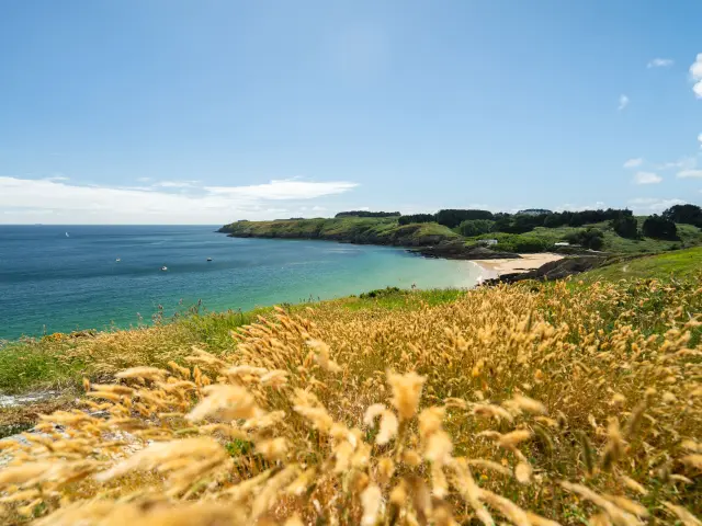 Port Andro Fleuri Thibault Poriel 2025 2030 1