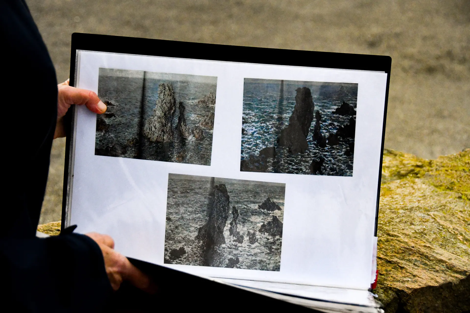 Peintures Claude Monet @otbi