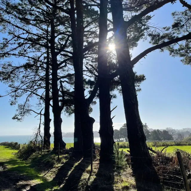 Instagram #belleileenmer