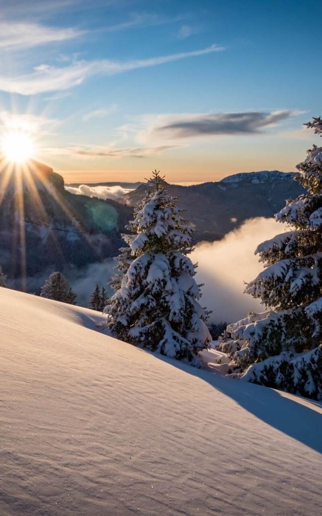Plateau des Petites Roches in Chartreuse