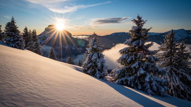 Plateau des Petites Roches in Chartreuse