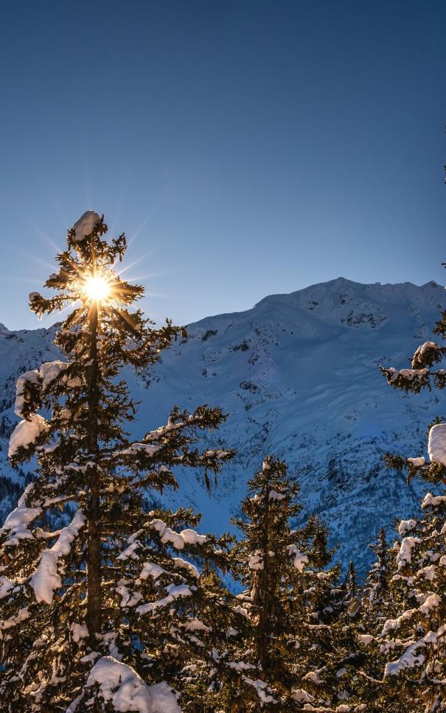 7 Laux Foto Alain Douce