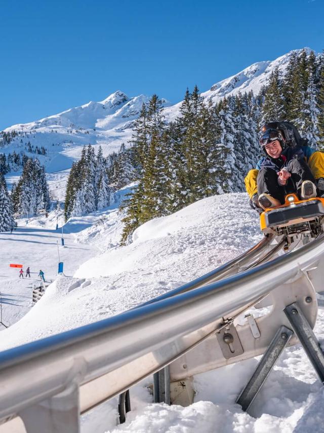 WIZ 7 Laux sled Photo Alain Doucé