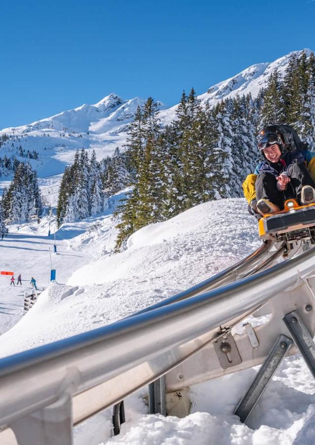 WIZ 7 Laux sled Photo Alain Doucé