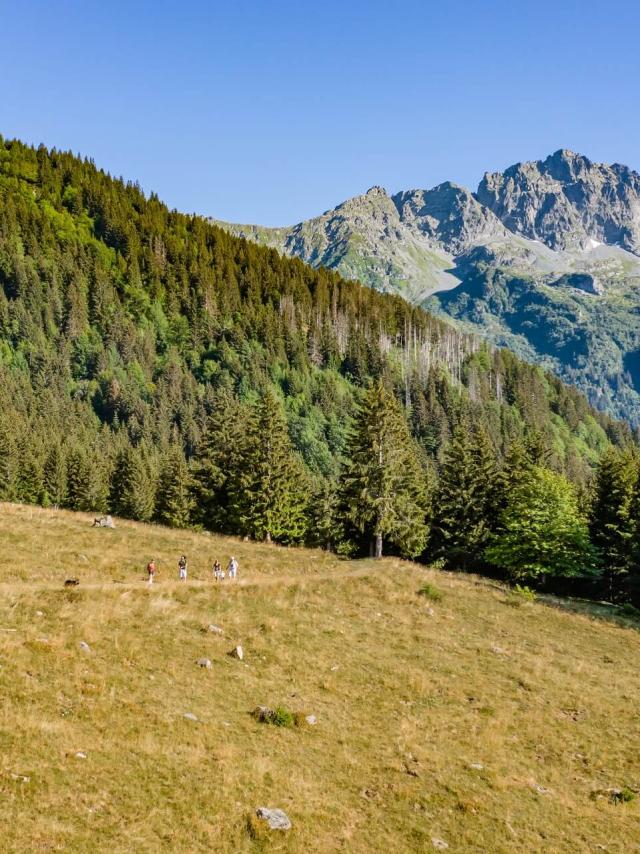 7laux drone VTT